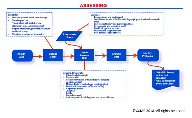 Introduction to the Case Management Body of Knowledge | CCMC’s Case